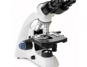 biological_microscopes_mb260_biological_microscope